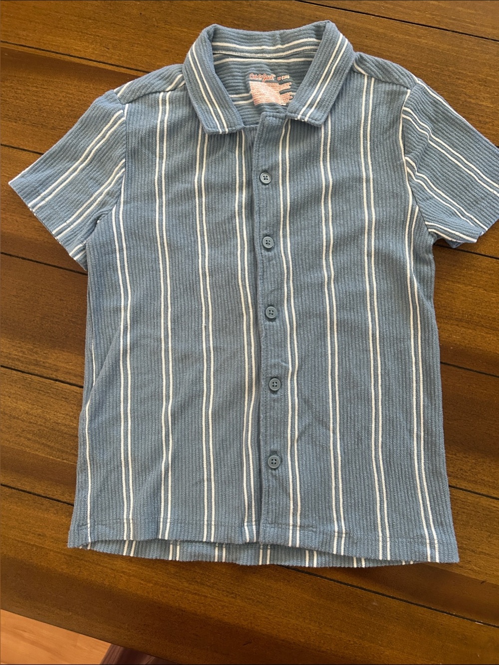 Cat & Jack Blue and White Striped Button-Down Polo Shirt